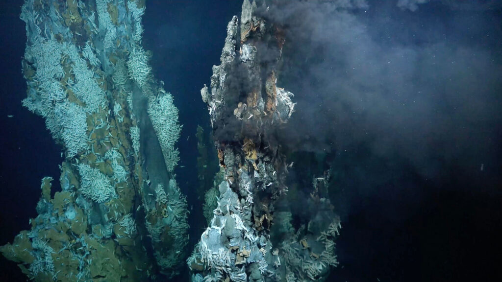 hydrothermal vent